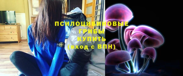 дживик Арсеньев