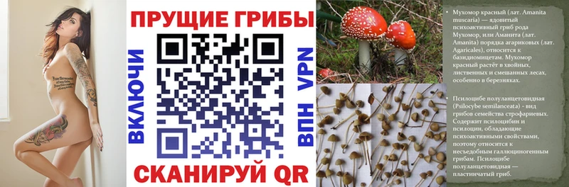 Псилоцибиновые грибы Cubensis  даркнет сайт  Белозерск 